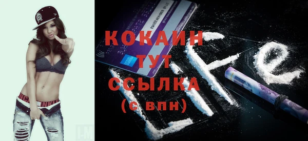 спиды Горняк