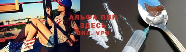 спиды Горняк