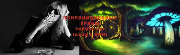 винт Горно-Алтайск