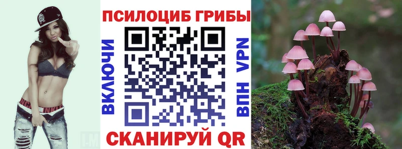 Галлюциногенные грибы Cubensis  Жуков 