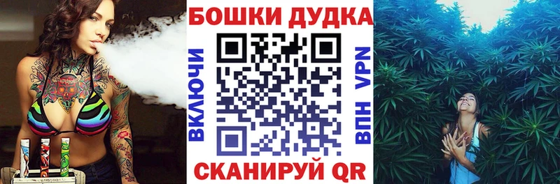 kraken вход  что такое наркотик  Жуков  МАРИХУАНА ГИДРОПОН 